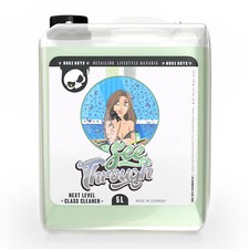 Auto Glasreiniger 5L Kanister